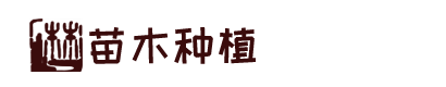 k8凯发188体育